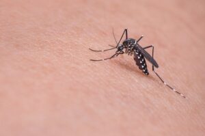 mosquito bite safety for kids